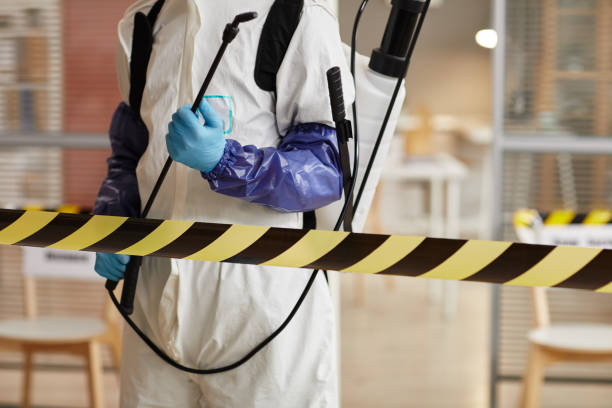 Professional Hoarding Cleanup technician working in Strathmore, NJ